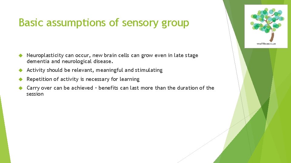 Basic assumptions of sensory group Neuroplasticity can occur, new brain cells can grow even