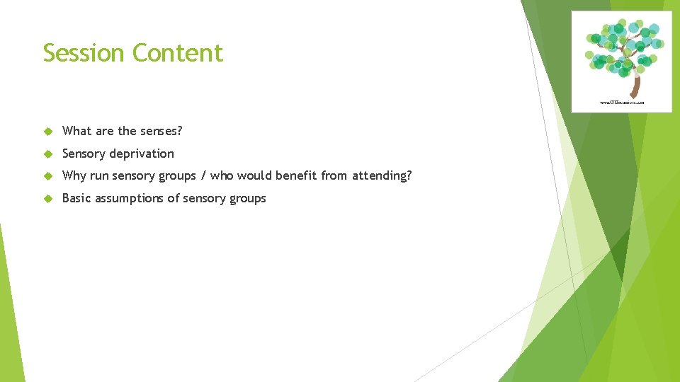 Session Content What are the senses? Sensory deprivation Why run sensory groups / who