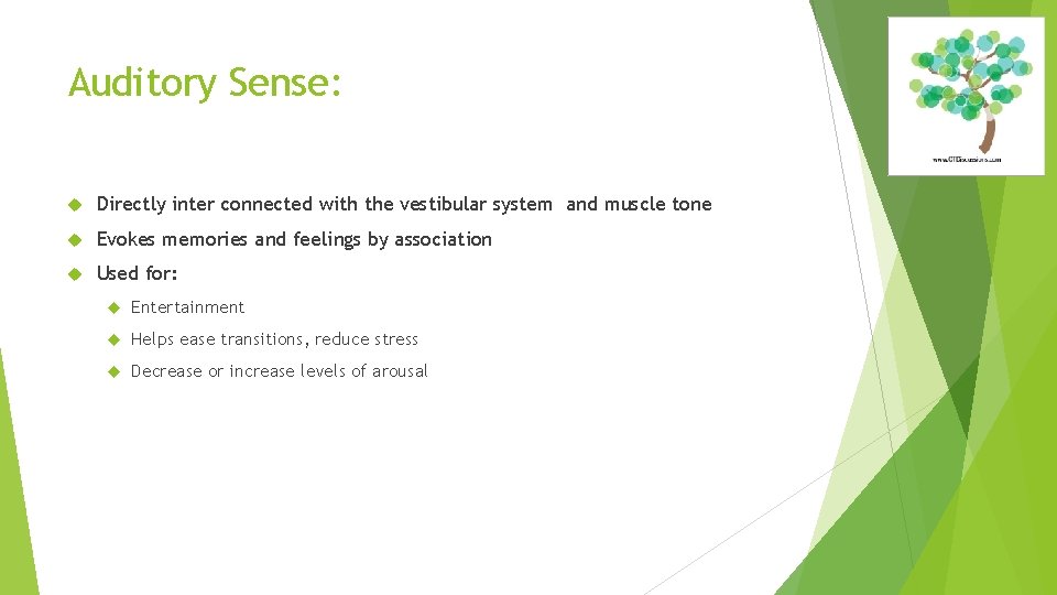 Auditory Sense: Directly inter connected with the vestibular system and muscle tone Evokes memories