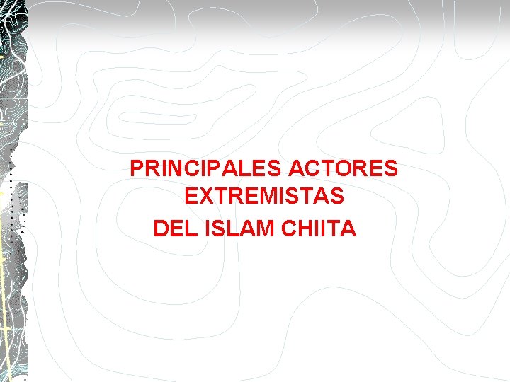  PRINCIPALES ACTORES EXTREMISTAS DEL ISLAM CHIITA 