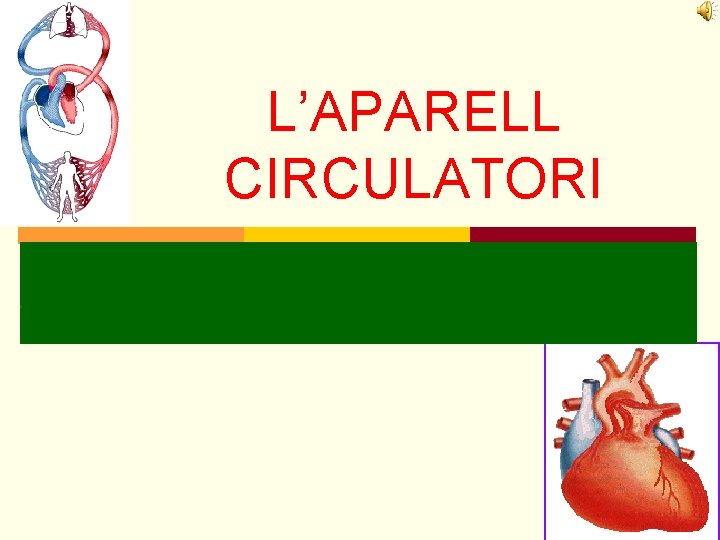 L’APARELL CIRCULATORI L’APARELL CIRCULATORI