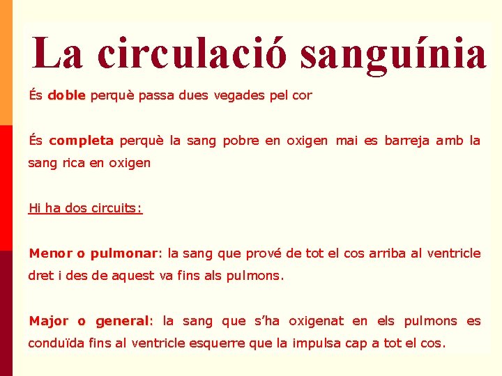 Circulació Menor o Pulmonar La circulació sanguínia És doble perquè passa dues vegades pel Circulació Menor o Pulmonar La circulació sanguínia És doble perquè passa dues vegades pel