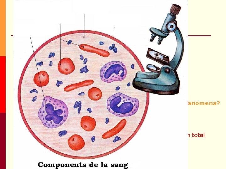 p L’aparell circulatori o cardiovascular està format per: La sang Sèrum Sense proteïnes s’anomena? p L’aparell circulatori o cardiovascular està format per: La sang Sèrum Sense proteïnes s’anomena?