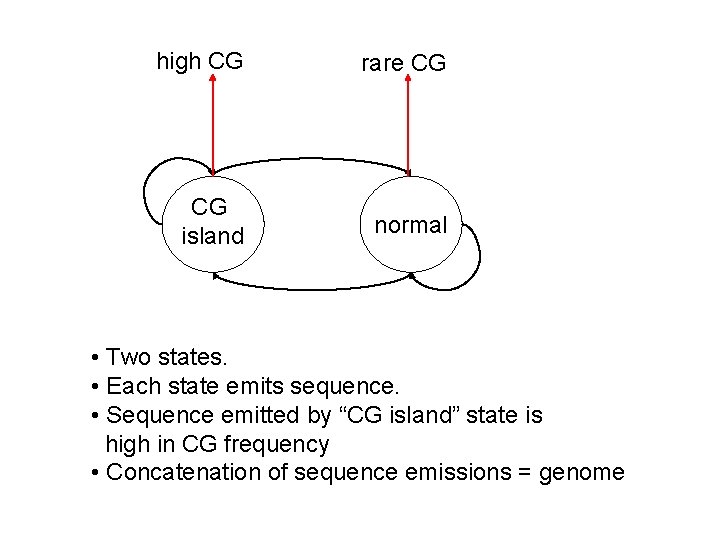 high CG rare CG CG island normal • Two states. • Each state emits high CG rare CG CG island normal • Two states. • Each state emits