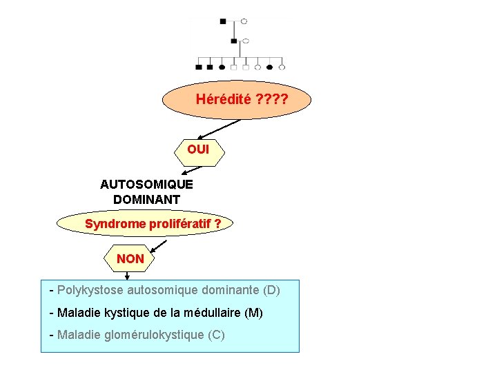 Hérédité ? ? OUI AUTOSOMIQUE DOMINANT Syndrome prolifératif ? NON - Polykystose autosomique dominante