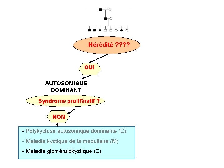 Hérédité ? ? OUI AUTOSOMIQUE DOMINANT Syndrome prolifératif ? NON - Polykystose autosomique dominante