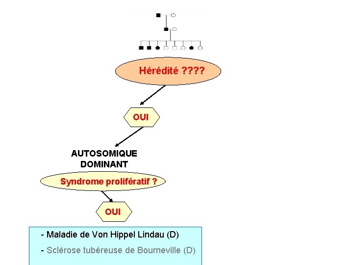 Hérédité ? ? OUI AUTOSOMIQUE DOMINANT Syndrome prolifératif ? OUI - Maladie de Von
