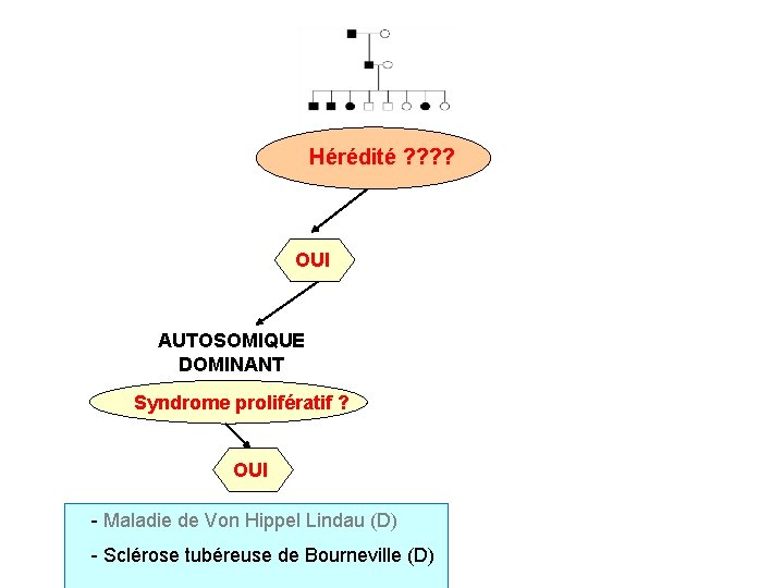 Hérédité ? ? OUI AUTOSOMIQUE DOMINANT Syndrome prolifératif ? OUI - Maladie de Von