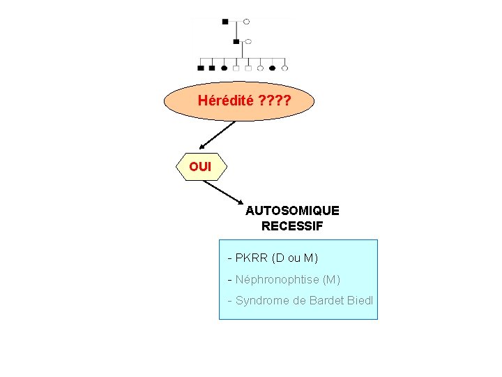 Hérédité ? ? OUI AUTOSOMIQUE RECESSIF - PKRR (D ou M) - Néphronophtise (M)