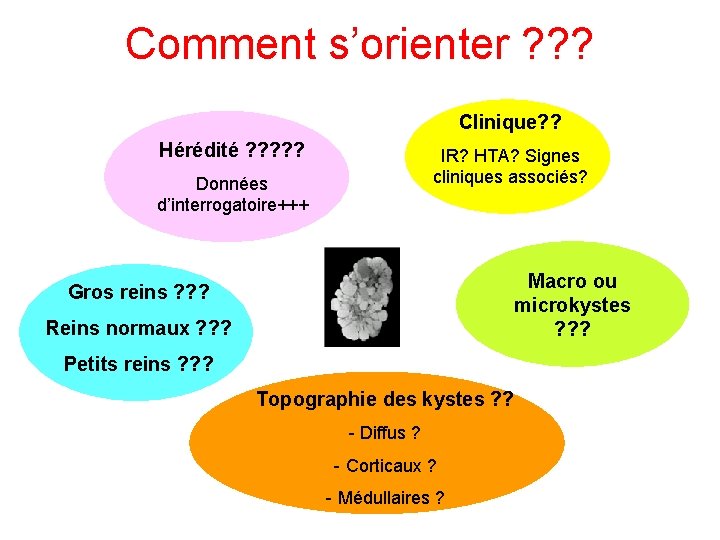 Comment s’orienter ? ? ? Clinique? ? Hérédité ? ? ? IR? HTA? Signes
