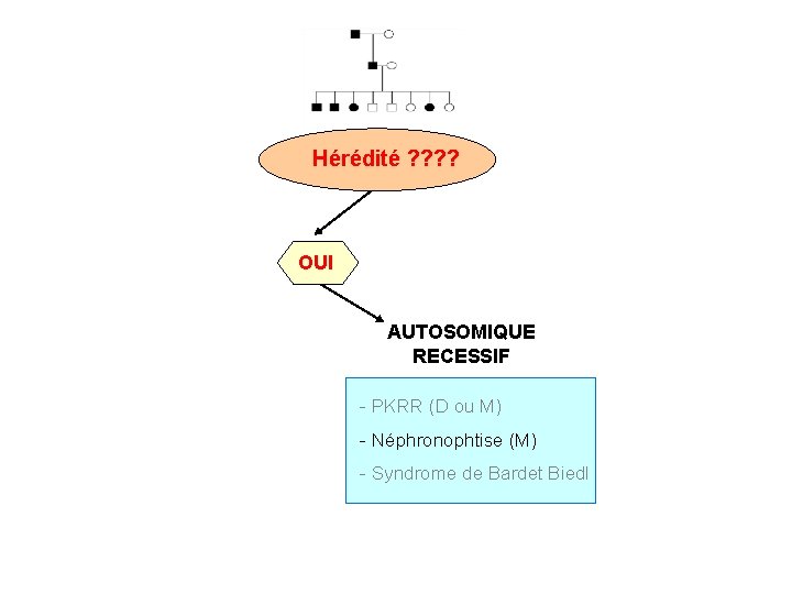 Hérédité ? ? OUI AUTOSOMIQUE RECESSIF - PKRR (D ou M) - Néphronophtise (M)