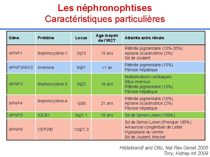 Les néphronophtises Caractéristiques particulières Gène Protéine Locus Age moyen de l’IRCT Atteinte extra rénale