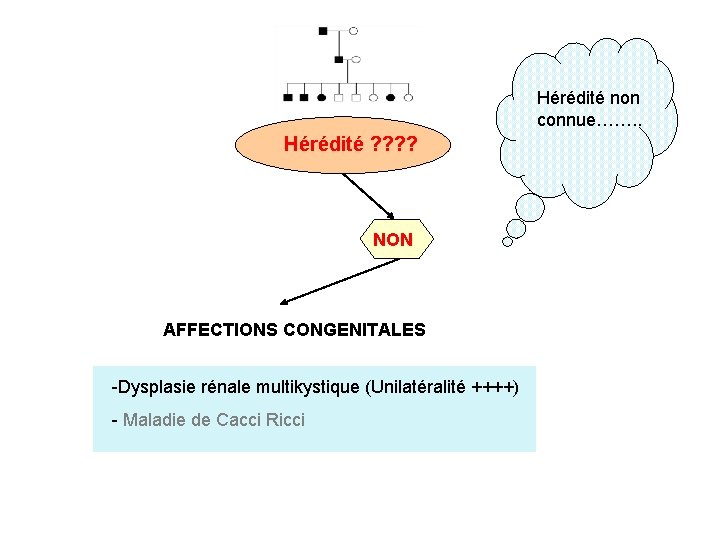 Hérédité non connue……. . Hérédité ? ? NON AFFECTIONS CONGENITALES -Dysplasie rénale multikystique (Unilatéralité