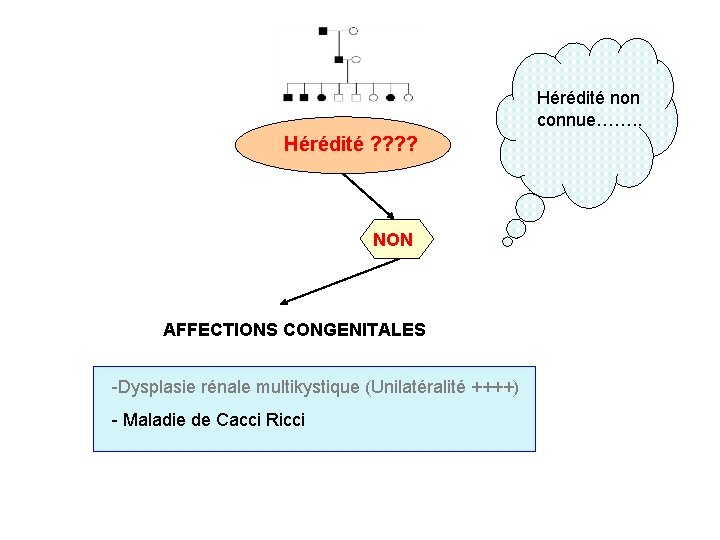 Hérédité non connue……. . Hérédité ? ? NON AFFECTIONS CONGENITALES -Dysplasie rénale multikystique (Unilatéralité
