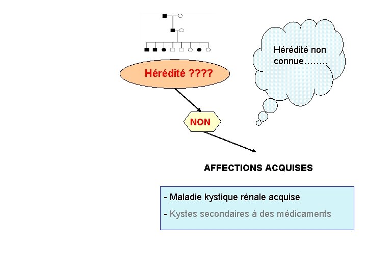 Hérédité non connue……. . Hérédité ? ? NON AFFECTIONS ACQUISES - Maladie kystique rénale