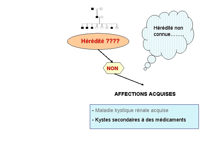 Hérédité non connue……. . Hérédité ? ? NON AFFECTIONS ACQUISES - Maladie kystique rénale