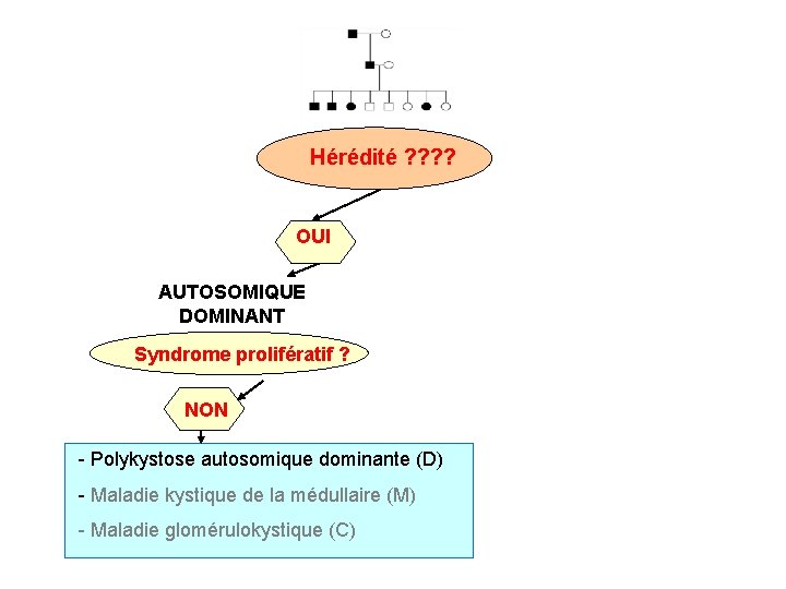 Hérédité ? ? OUI AUTOSOMIQUE DOMINANT Syndrome prolifératif ? NON - Polykystose autosomique dominante