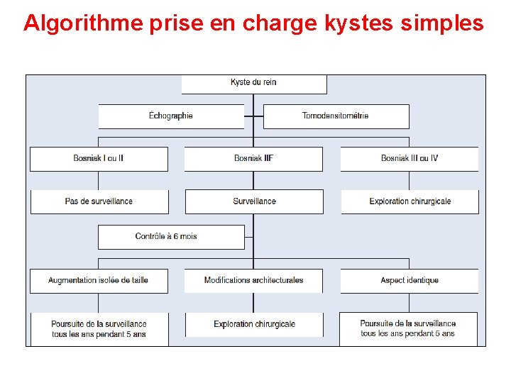 Algorithme prise en charge kystes simples 