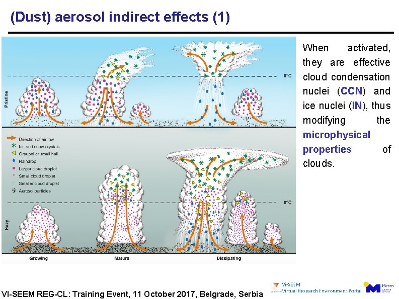 (Dust) aerosol indirect effects (1) When activated, they are effective cloud condensation nuclei (CCN)