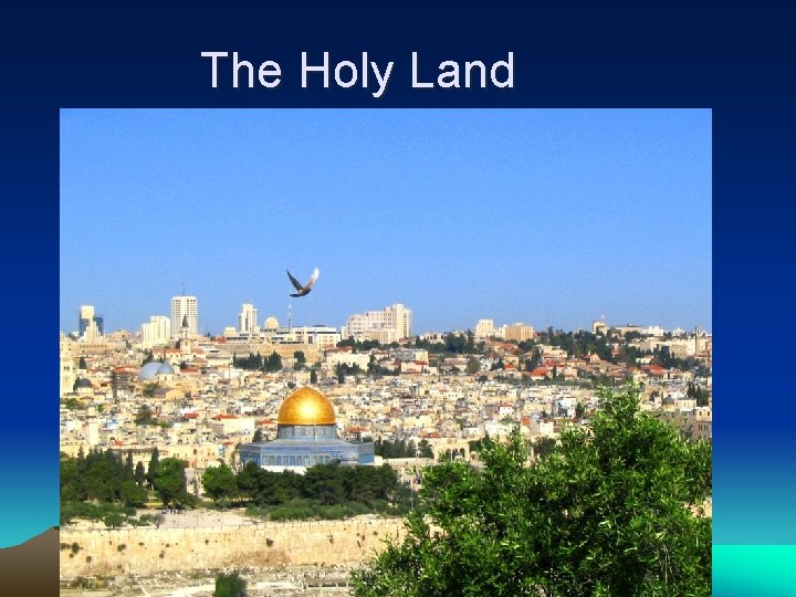 The Holy Land 