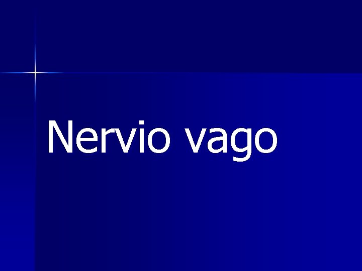 Nervio vago 