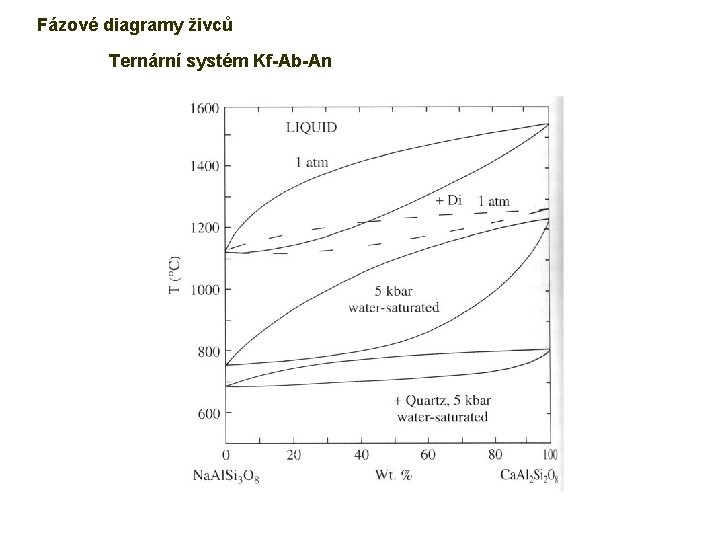 Fázové diagramy živců Ternární systém Kf-Ab-An Josef Zeman 19 