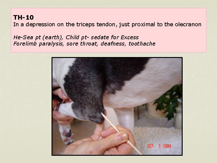 TH-10 In a depression on the triceps tendon, just proximal to the olecranon He-Sea