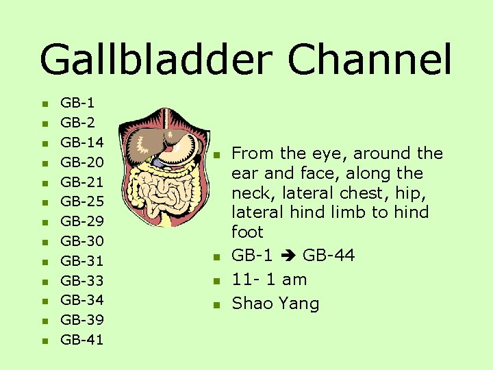 Gallbladder Channel n n n n GB-1 GB-2 GB-14 GB-20 GB-21 GB-25 GB-29 GB-30