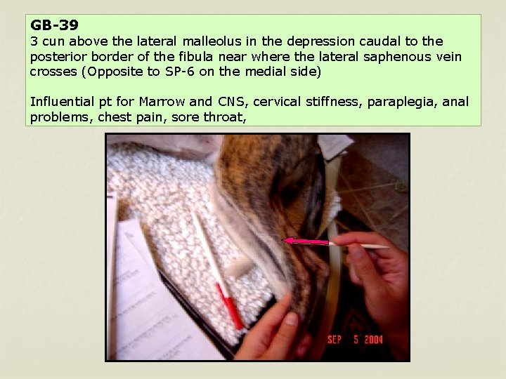 GB-39 3 cun above the lateral malleolus in the depression caudal to the posterior