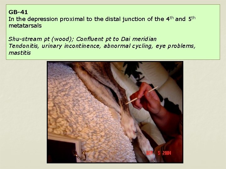 GB-41 In the depression proximal to the distal junction of the 4 th and