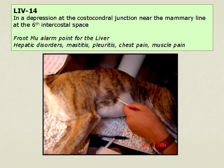 LIV-14 In a depression at the costocondral junction near the mammary line at the