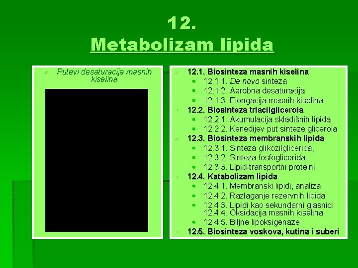 12. Metabolizam lipida § Putevi desaturacije masnih kiselina § § § 12. 1. Biosinteza