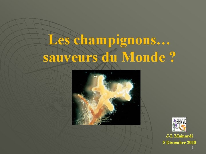 Les champignons… sauveurs du Monde ? J-L Mainardi 5 Décembre 2018 1 