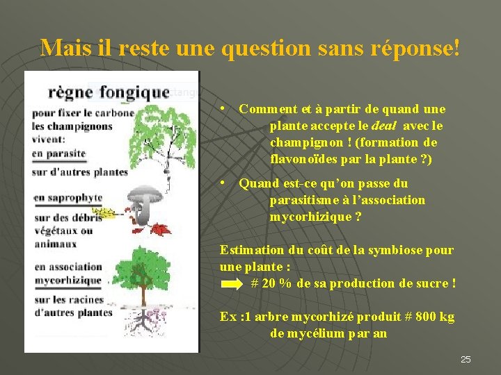 Mais il reste une question sans réponse! • Comment et à partir de quand