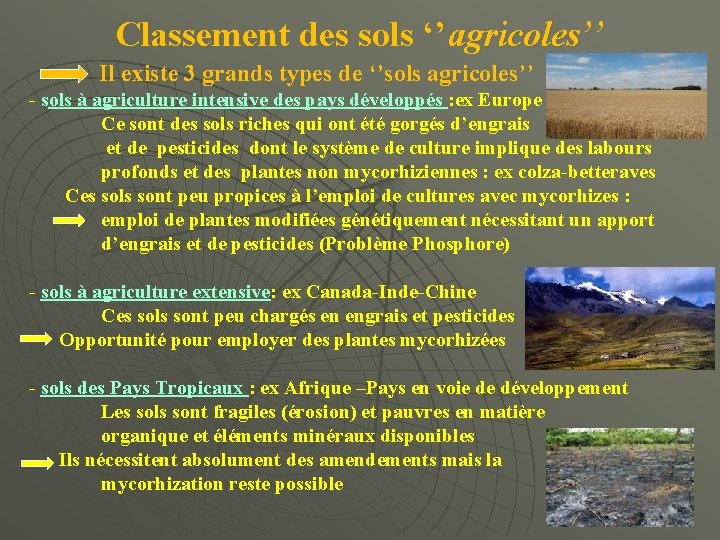 Classement des sols ‘’agricoles’’ Il existe 3 grands types de ‘’sols agricoles’’ - sols