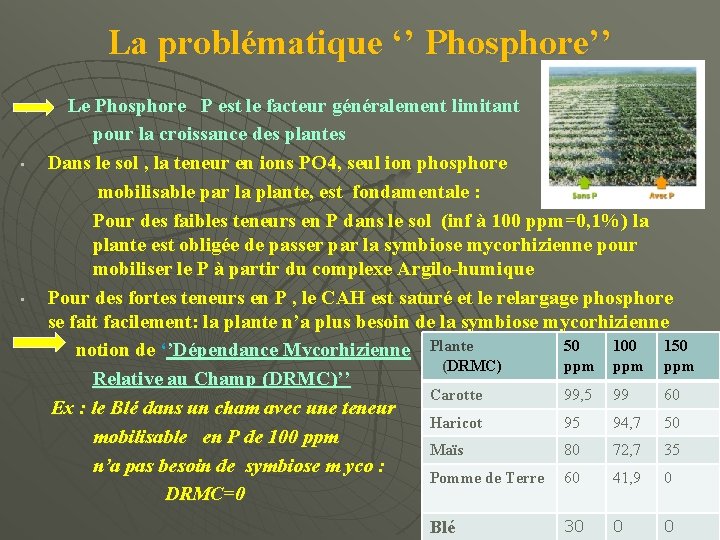 La problématique ‘’ Phosphore’’ u • • Le Phosphore P est le facteur généralement
