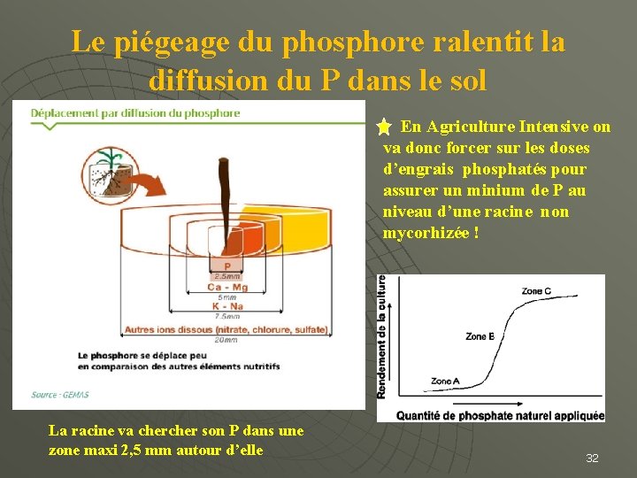 Le piégeage du phosphore ralentit la diffusion du P dans le sol En Agriculture