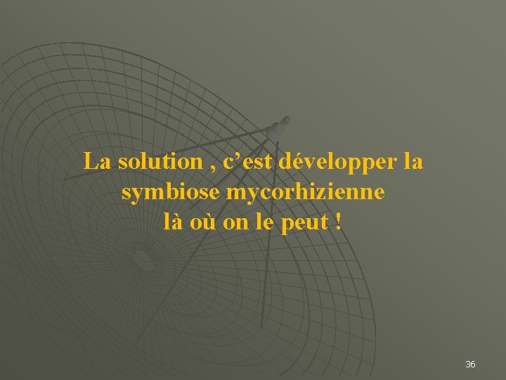 La solution , c’est développer la symbiose mycorhizienne là où on le peut !