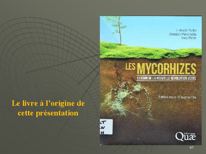 Le livre à l’origine de cette présentation 47 