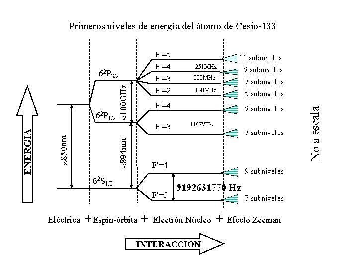 Primeros niveles de energía del átomo de Cesio-133 200 MHz F’=2 150 MHz 9