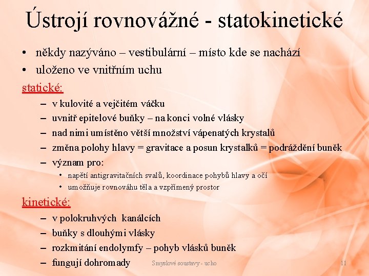 Ústrojí rovnovážné - statokinetické • někdy nazýváno – vestibulární – místo kde se nachází