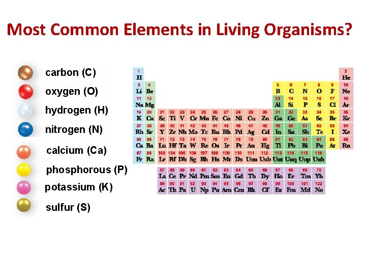 Most Common Elements in Living Organisms? carbon (C) oxygen (O) hydrogen (H) nitrogen (N)