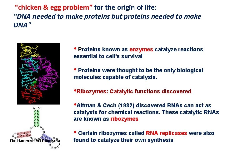 “chicken & egg problem” for the origin of life: “DNA needed to make proteins