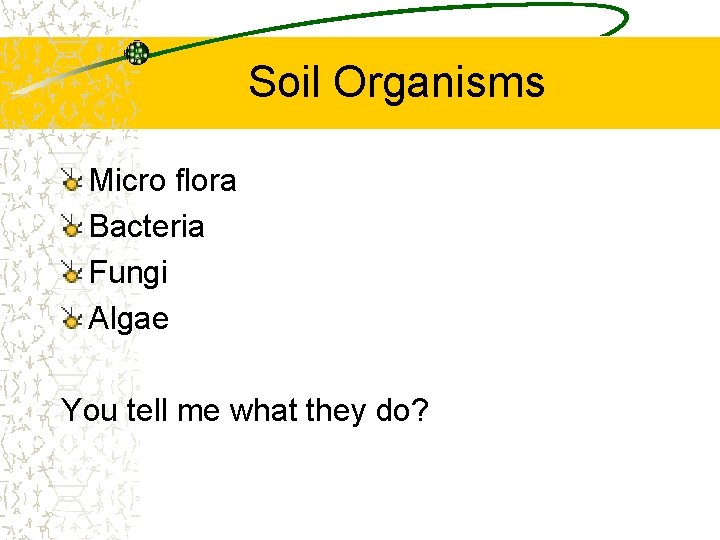 Soil Organisms Micro flora Bacteria Fungi Algae You tell me what they do? Soil Organisms Micro flora Bacteria Fungi Algae You tell me what they do?