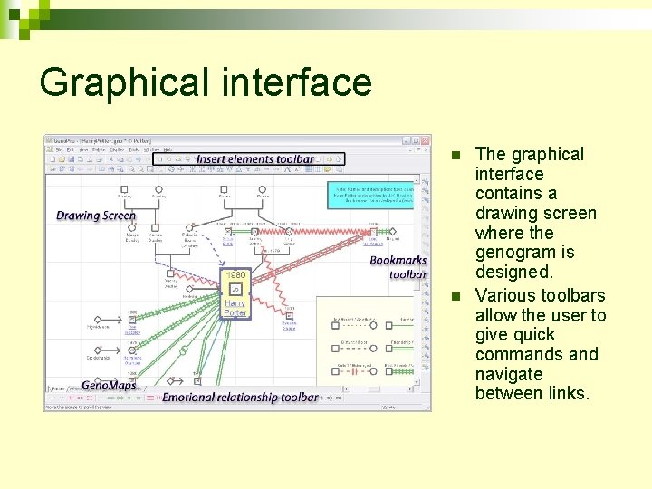 Graphical interface n n The graphical interface contains a drawing screen where the genogram