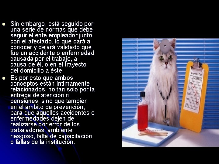 l l Sin embargo, está seguido por una serie de normas que debe seguir