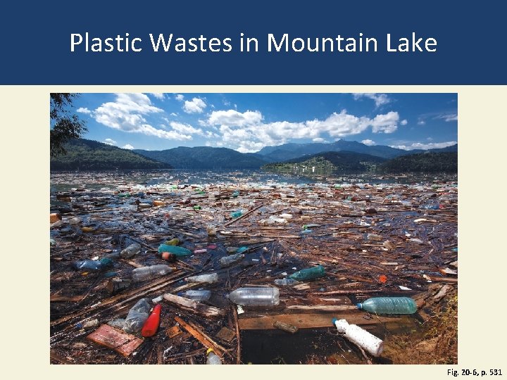 Plastic Wastes in Mountain Lake Fig. 20 -6, p. 531 