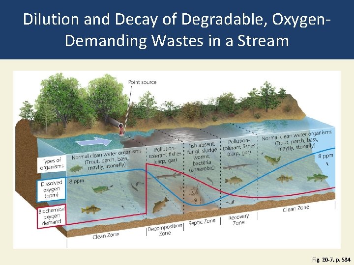 Dilution and Decay of Degradable, Oxygen. Demanding Wastes in a Stream Fig. 20 -7,