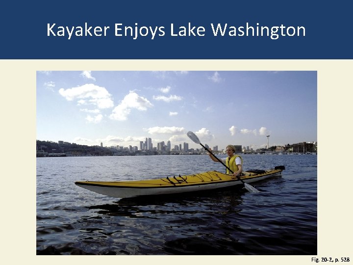 Kayaker Enjoys Lake Washington Fig. 20 -2, p. 528 