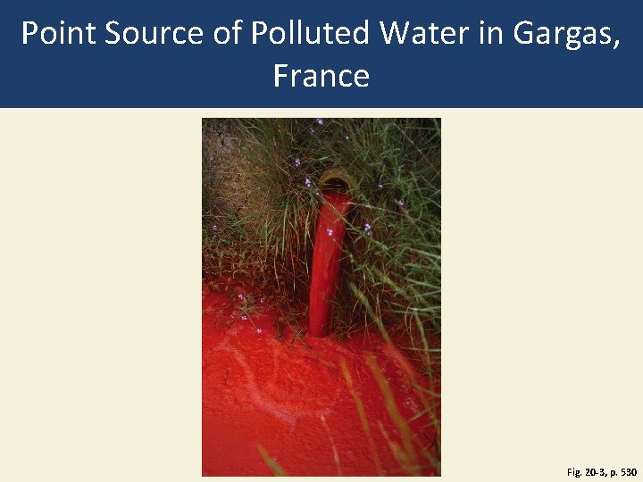 Point Source of Polluted Water in Gargas, France Fig. 20 -3, p. 530 